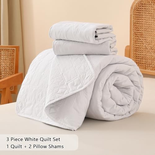 Yogeneg 3Piece Queen Quilt Set with Geometric Coin Pattern
