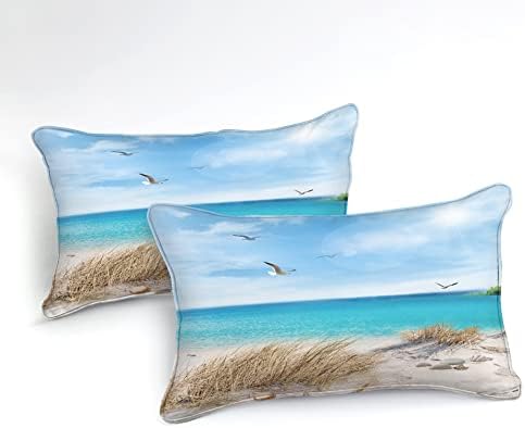 MOVE OVER Ocean Comforter Set 4 Piece California King