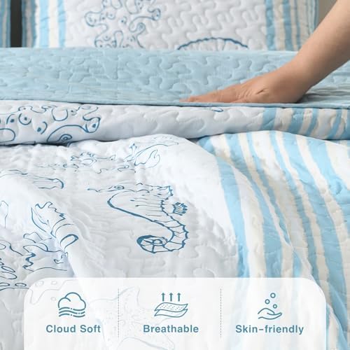 HORIMOTE HOME Coastal Quilt Set King Size