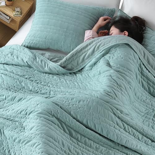 KASENTEX King Size Velvet Quilt Set 3 Pieces Lake Blue