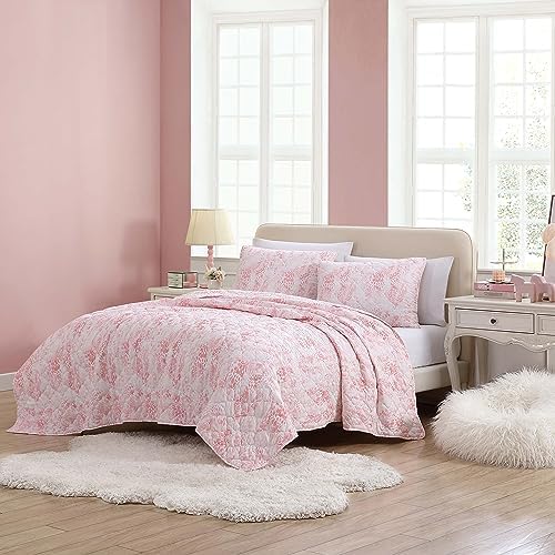 Betsey Johnson Quilt Set Butterfly Ombre Pink Queen