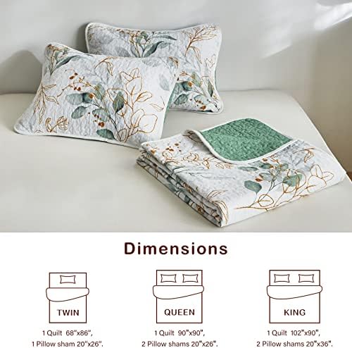 Joyreap 2-Piece Microfiber Quilt Set 1
