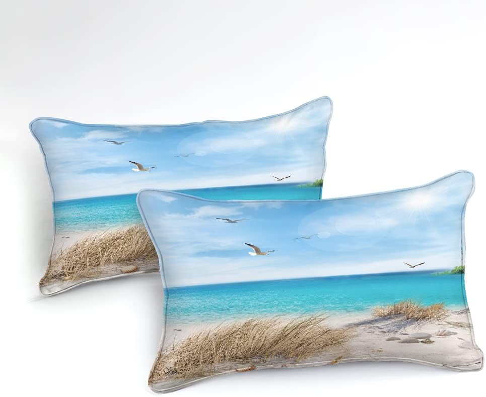 MOVE OVER Ocean Comforter Set 4 Piece California King