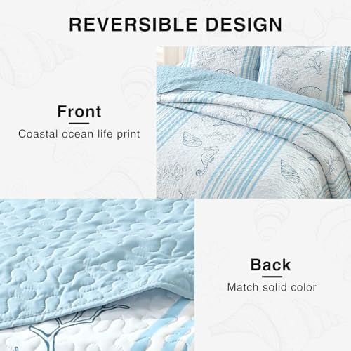 HORIMOTE HOME Coastal Quilt Set King Size