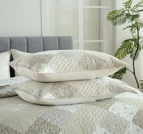 Boryard Queen Size Quilt Set with Reversible Design