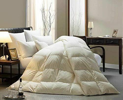 RIANBHI 7 PC Queen Comforter Sheet Set Ivory